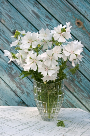 bouquet of white flowers on the ragged old painted wooden wall backgroundの写真素材
