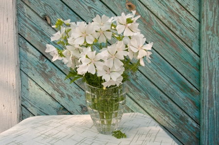 bouquet of white flowers on the ragged old painted wooden wall backgroundの写真素材