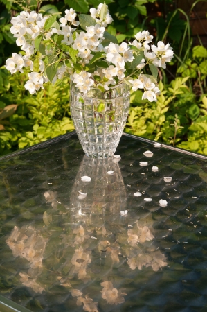 jasmin bouquet still life with reflection on the tableの写真素材