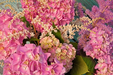 pink hydrangea and astilbeの写真素材