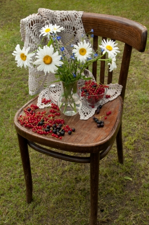 chair standing on the grass with chamomiles, tablecloth and currants still life on itの写真素材