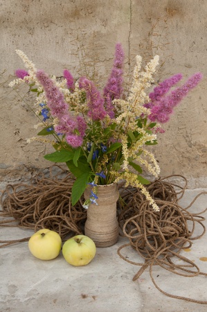 still life bouquet of astilbe with rope and applesの写真素材