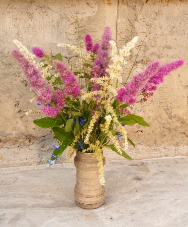 still life bouquet of astilbe and meadowsweetの写真素材