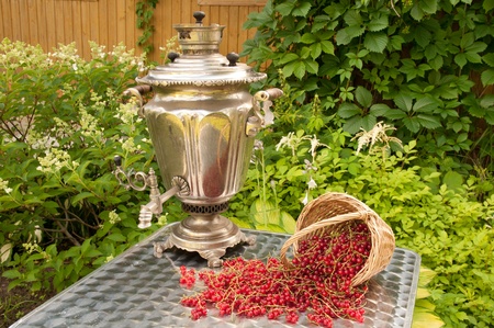 still life samovar and red currantsの写真素材