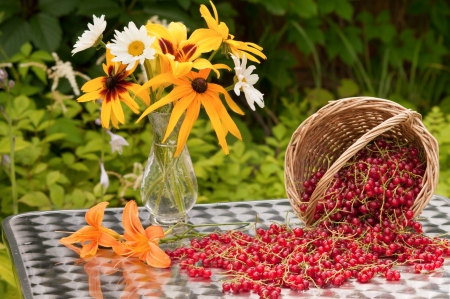 red currants and bouquet of chamomiles and cone flowersの写真素材