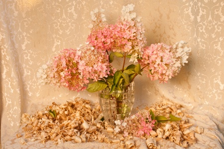 still life with pink hydrangea on the drapery backgroundの写真素材