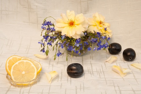 still life with lemon yellow roses and blue gypsophila and plumの写真素材
