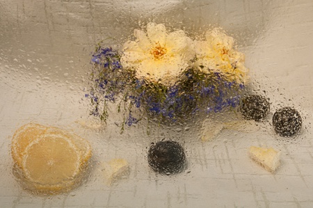 wet still life with lemon yellow roses and blue gypsophila and plum throwgh wet glassの写真素材