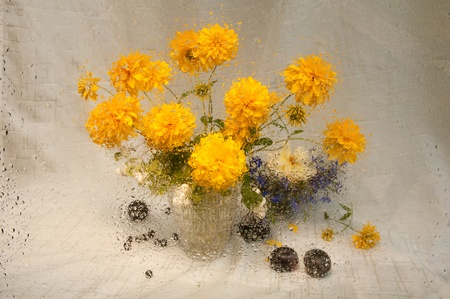 wet still life of yellow flowers through wet glassの写真素材