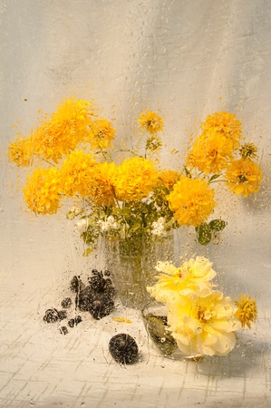wet still life of yellow flowers through wet glassの写真素材