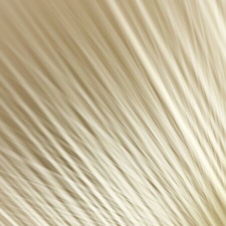 diagonal strips neutral background illustrationの写真素材