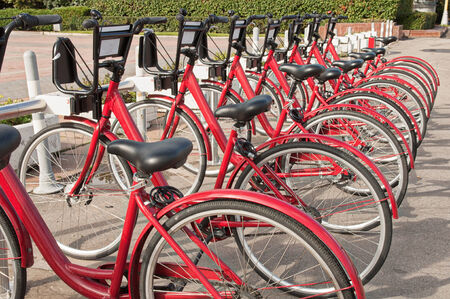 Bicycle parking - row of bicycles in the campusの写真素材