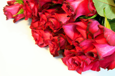 red roses bouquet isolated on the white backgroundの写真素材