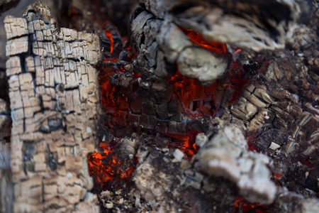 Burning fire wood in the fireの写真素材