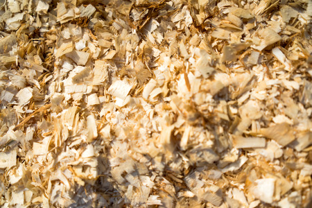 Wood Sawdust Texture Backgroundの写真素材