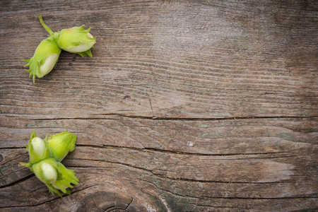 green hazelnuts in the corners of the old wooden background with copy space for your textの写真素材