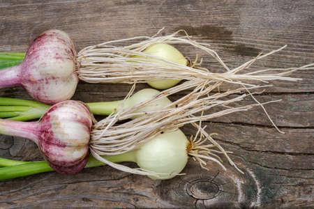 raw vegetables on the wooden plank background with copy spaceの写真素材