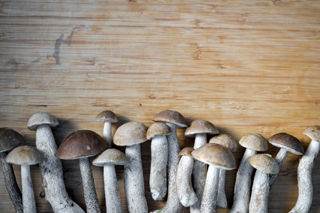 wild edible brown cap boletus mushrooms on a wooden table in a row with copy spaceの写真素材