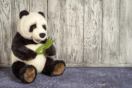 old vintage panda soft toy in the children's room on wooden background with copy spaceの写真素材