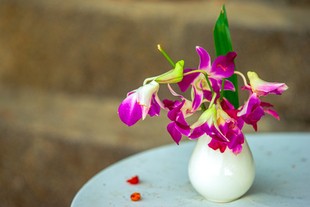 bouquet of orchid flowers in a white vase in the round tableの写真素材