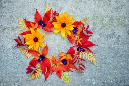 a wreath of autumn leaves and flowers on a neutral gray background, with copy space suitable for inscription on the autumn discounts.の写真素材