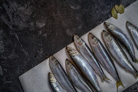 raw small sprat like forage fishes on a paper diagonal composition, with copy space on a dark black cement backgroundの写真素材
