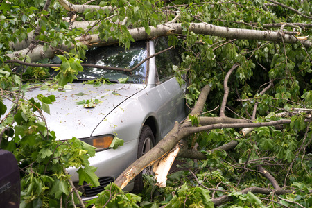 Moscow, Russia - May 30, 2017: a car filled with trees fallen during a strong hurricane