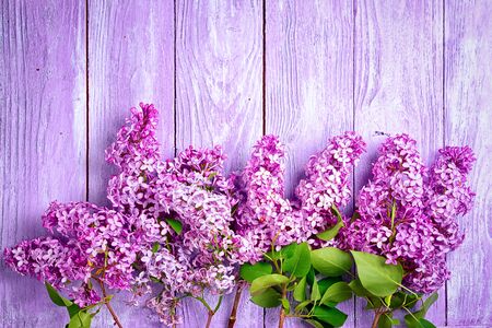 lilac top view on a wooden background with copy spaceの写真素材