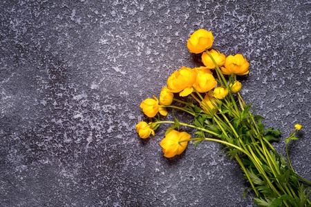 bouquet of yellow globe flowers laying down on a dark cement background with copy spaceの写真素材