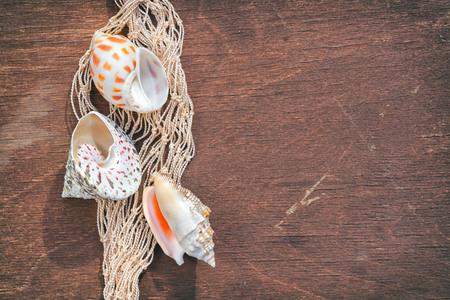 sea shells on a fishing net as a frame on a wooden table, top view with copy space for your text