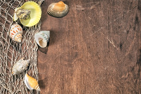 sea shells on a fishing net as a frame on a wooden table, top view with copy space for your text