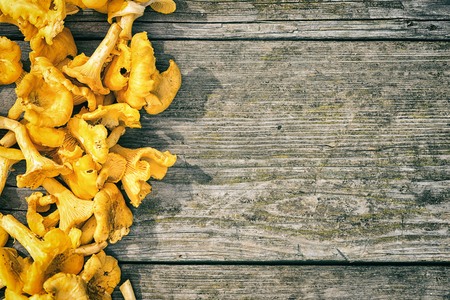 raw chanterelle mushroom in a row as a frame on an old wooden background with copy space for your...
