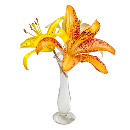bouquet with lily flowers in a small transparent glass vase isolated on white backgroundの写真素材