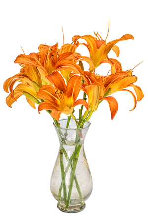 bouquet with orange hemerocallis flowers in a small transparent glass vase isolated on white backgroundの写真素材