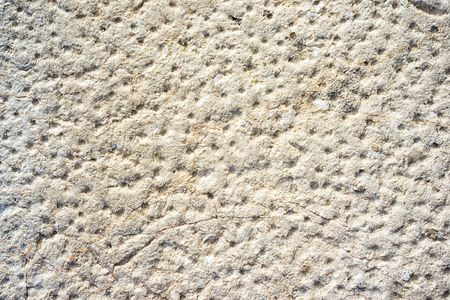 Beige neutral stone wall with lots of holes textureの写真素材