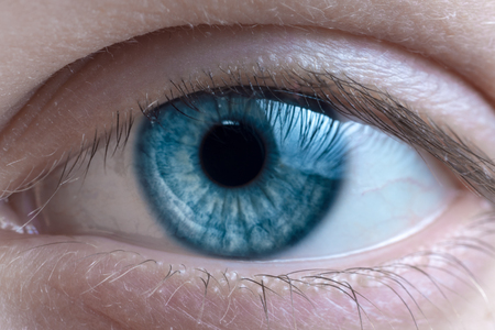 close up blue woman eye macro shot. looking at the camera.の写真素材