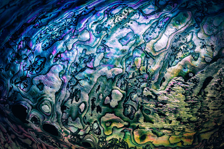Nature texture pattern of nacre mother-of-pearl inner side of Paua, Perlemoen or Abalone shell close up abstract backgroundの写真素材