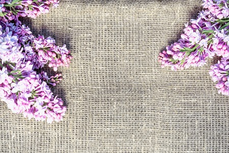 purple lilac on a sackloth background, top view with copy spaceの写真素材