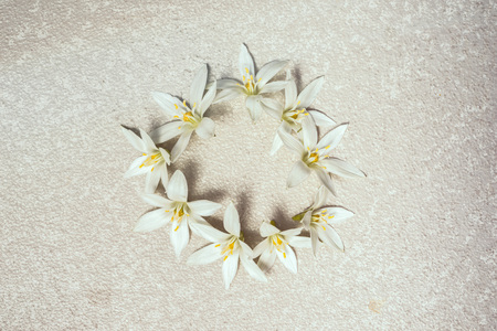 White flowers ornithogalum in a circle wteath frame on a silver cement background.