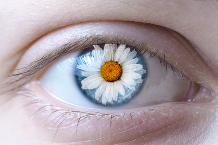 Human face with chamomile flower reflection on the iris. The concept of the environmentally friendly makeup.の写真素材