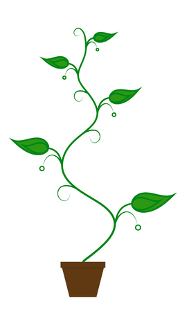 Vector flat sprout plant pot illustration.のイラスト素材