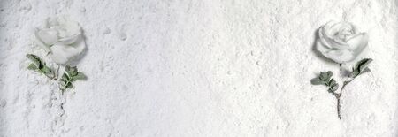 Two white roses on a white powderの写真素材