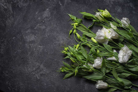 Eustoma layout on textured black table background with copy space.の写真素材