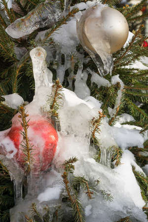 Branches of Christmas tree with balls frozen in icicles.の写真素材