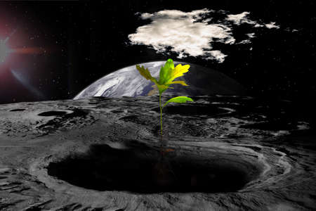 Colonization of the Moon, attempts to grow trees on the lunar surface. Sci-fi collage,の写真素材