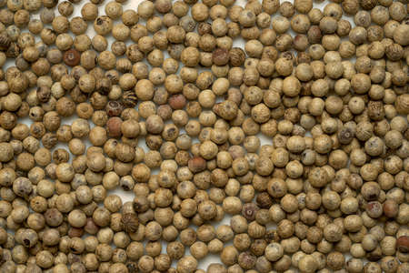 Close up of white pepper or peppercorns as background.の写真素材