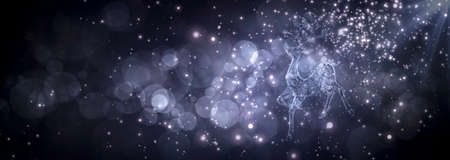 Abstract light circular bokeh background with christmas reindeer. New year conceptual postcard.の写真素材