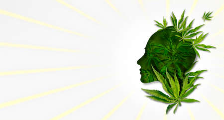 Effect of marijuana on the brain, concept.の写真素材