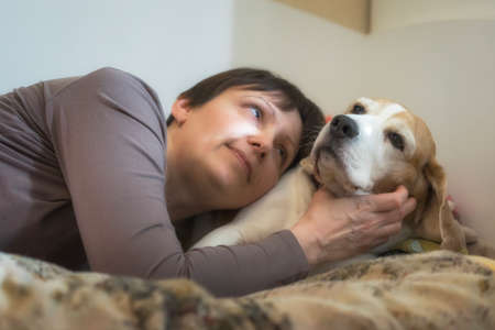 Woman lies on the sofa and looks at the beagle dog.の写真素材