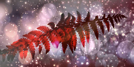 Festive background with red fern leaf and spotted snow backdrop with copy space for your congratulation textの写真素材